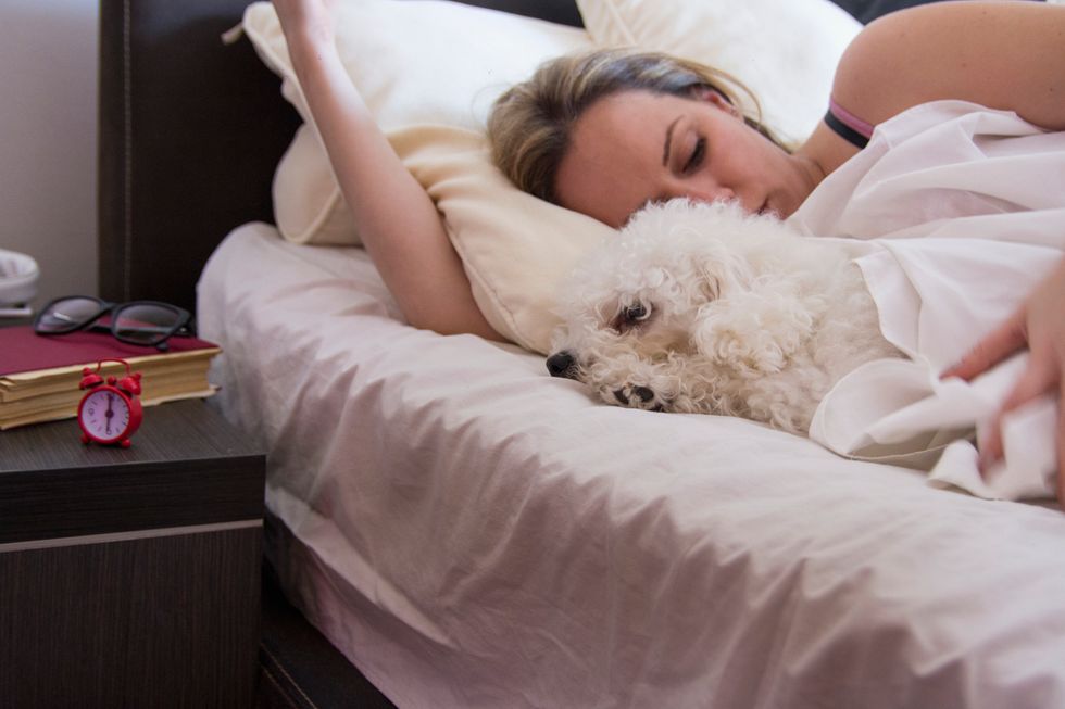 do-you-share-a-bed-with-your-dog-healthywomen