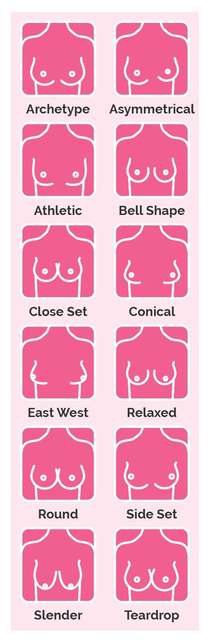 Various Structures And Dimensions Of Breast