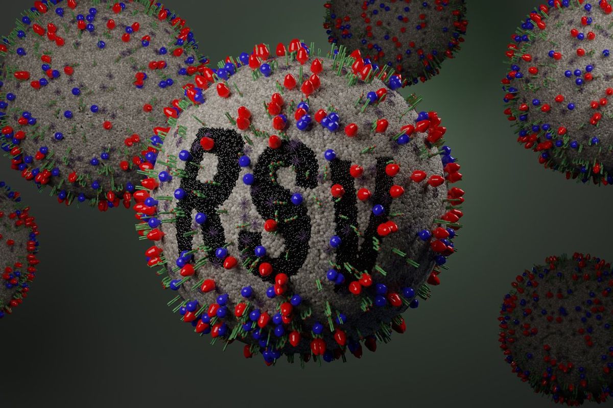 Illustration of Respiratory Syncytial Virus or RSV